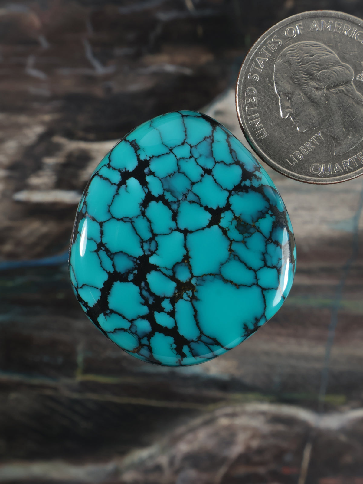 Turquoise oval gemstone cabochon with dark web pattern and polished surface