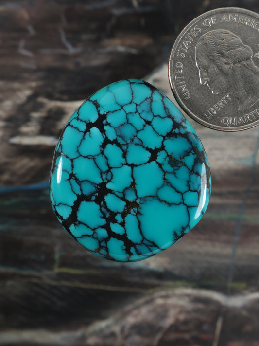 Turquoise oval gemstone cabochon with dark web pattern and polished surface