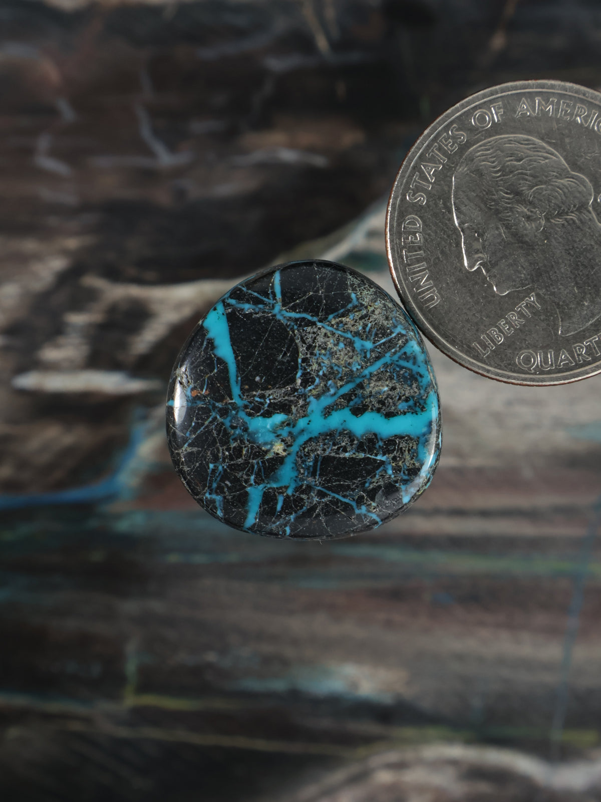 Sierra Nevada Turquoise Cabochon B120