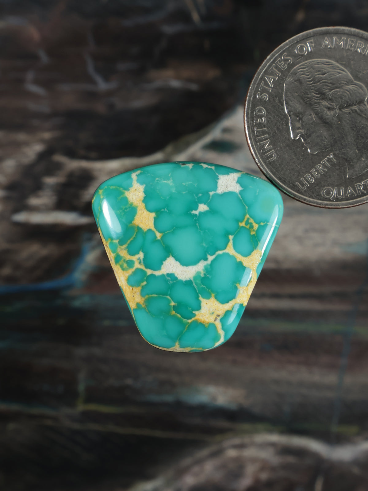 Fox Turquoise Cabochon B128