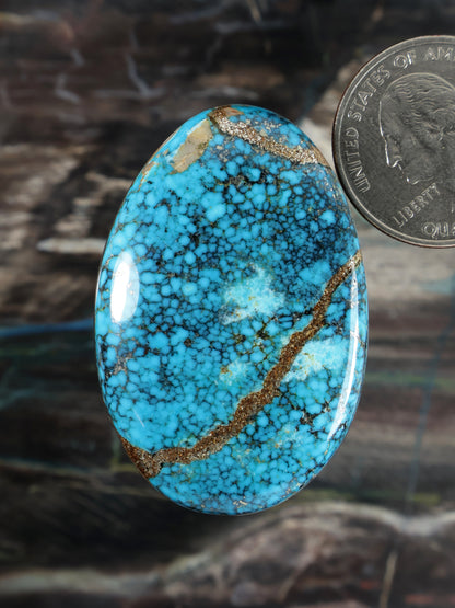 Kingman Turquoise Cabochon A064