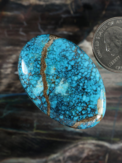Kingman Turquoise Cabochon A064