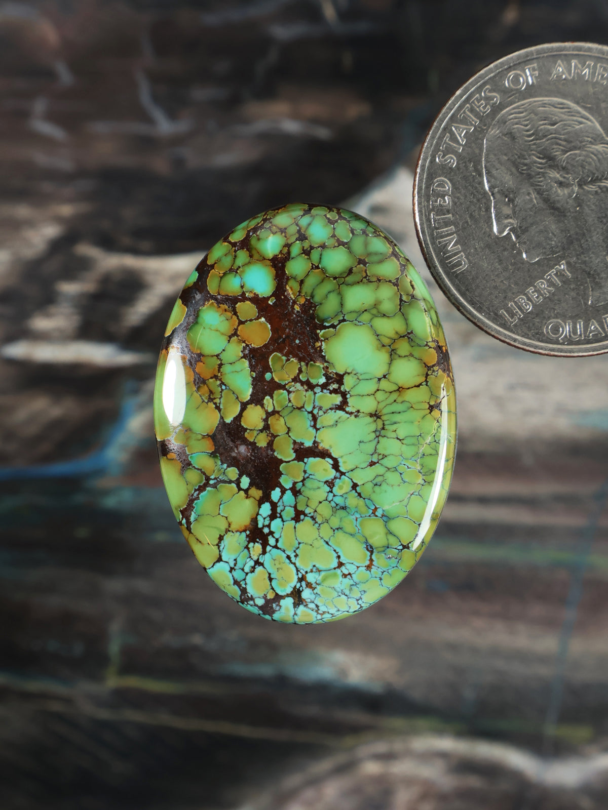 Oval turquoise cabochon with gold-brown matrix webbing and polished dome