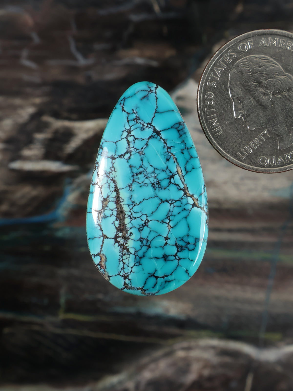 Labashan Turquoise Cabochon B124