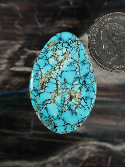 Oval turquoise cabochon gemstone with dark matrix webbing and natural brown specks
