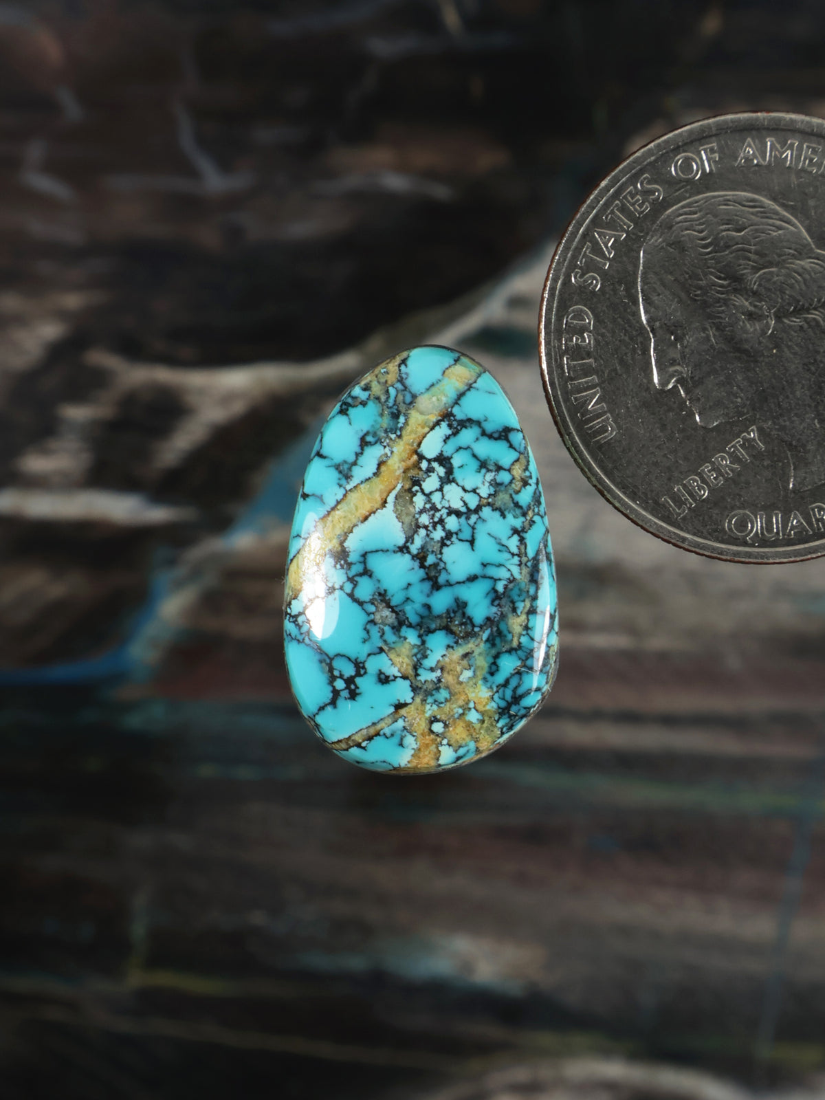 Labashan Turquoise Cabochon B125