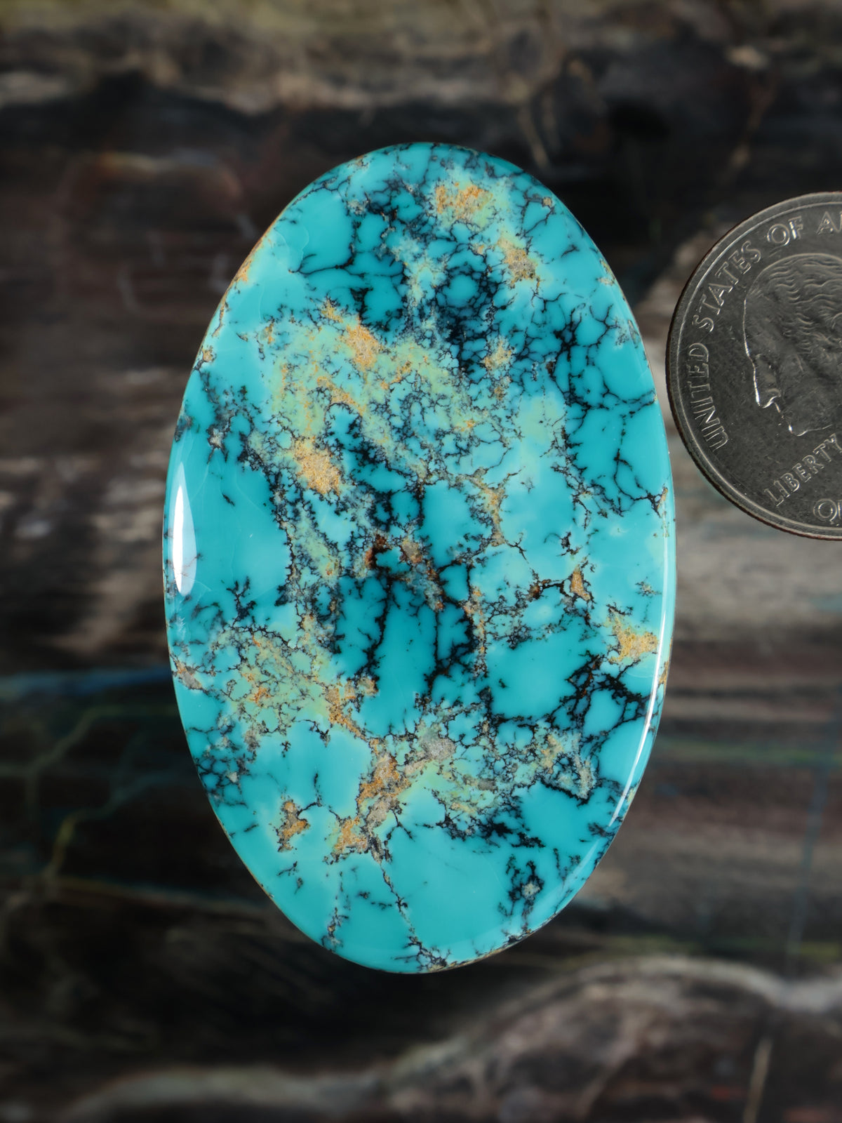 An oval turquoise cabochon stone with prominent gold and black matrix veining, shown next to a US quarter coin for scale on a dark textured background.