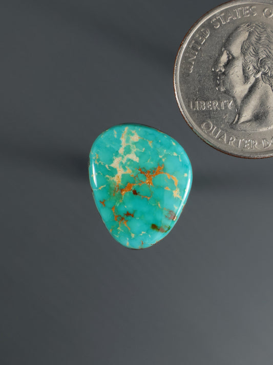 Turquoise oval cabochon gemstone with gold veining