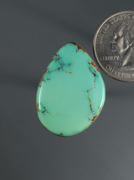 Turquoise teardrop cabochon with natural matrix webbing and warm-toned edges