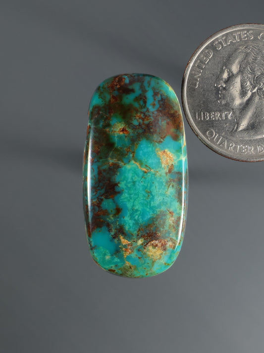 Royston turquoise cabochon gemstone, oval dome with natural brown matrix veining