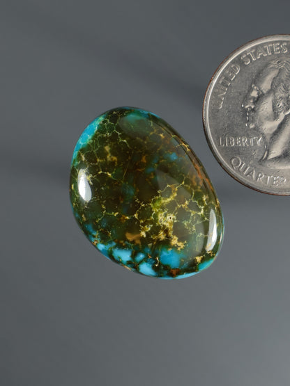 Oval turquoise cabochon with green-gold crackle veining and glossy dome