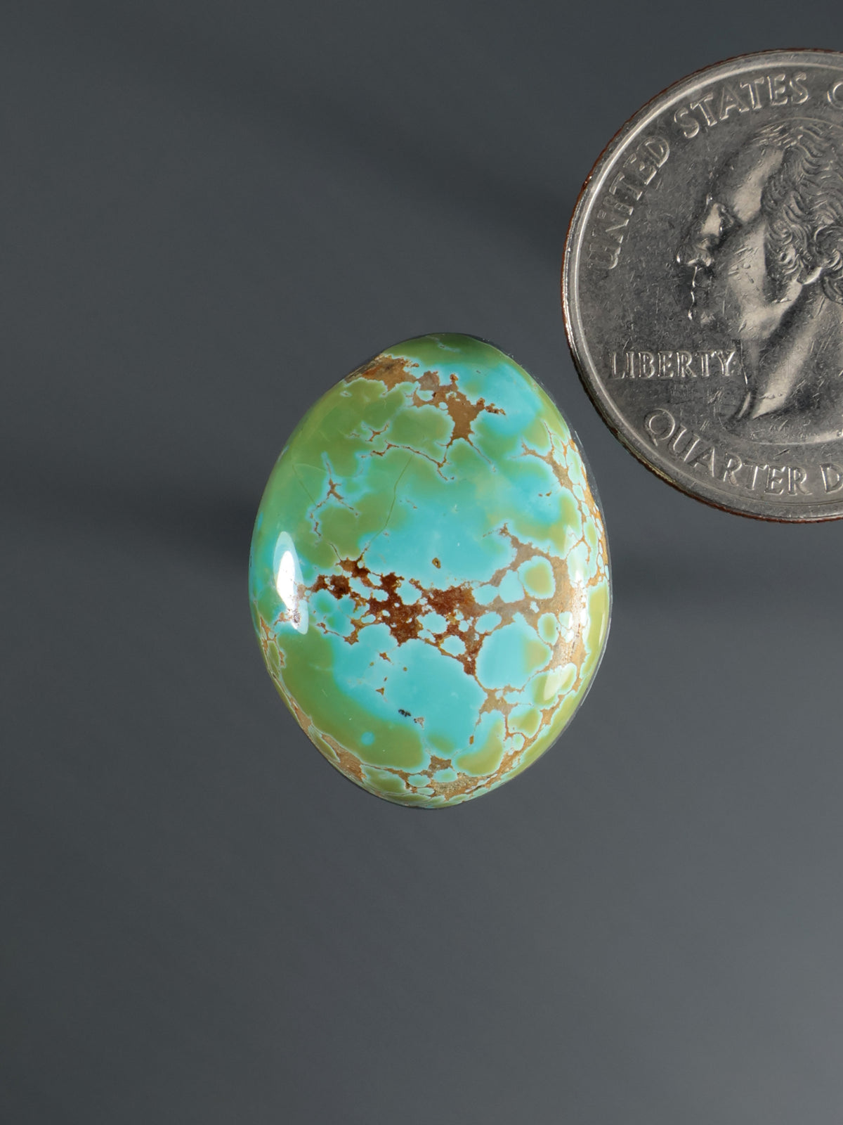 Oval turquoise-green cabochon with tree branch pattern