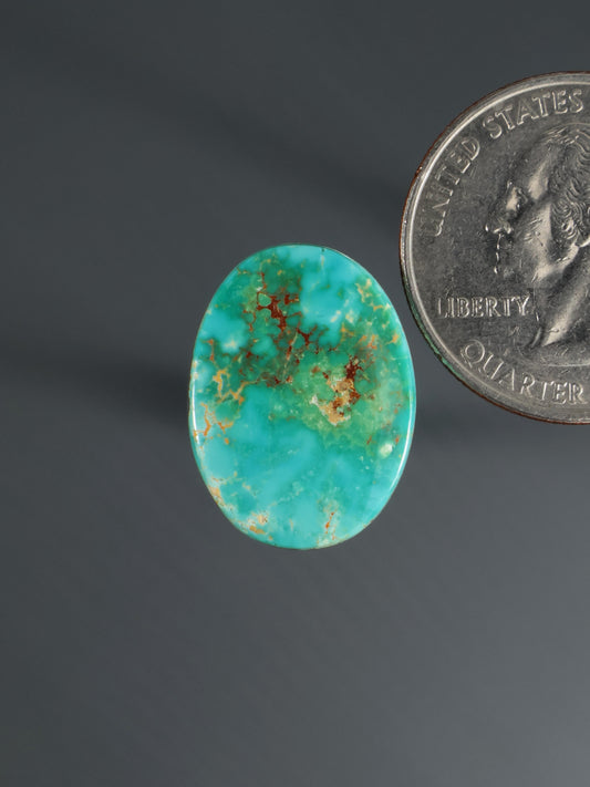 Turquoise cabochon gemstone with webbed matrix veining, oval