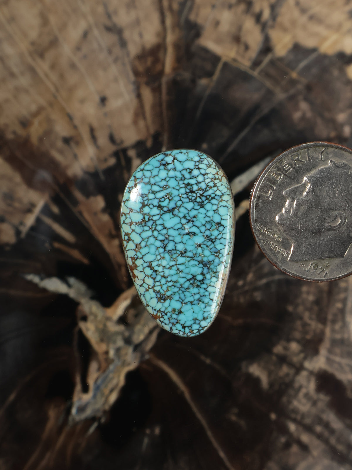 Number 8 turquoise oval cabochon with natural web pattern