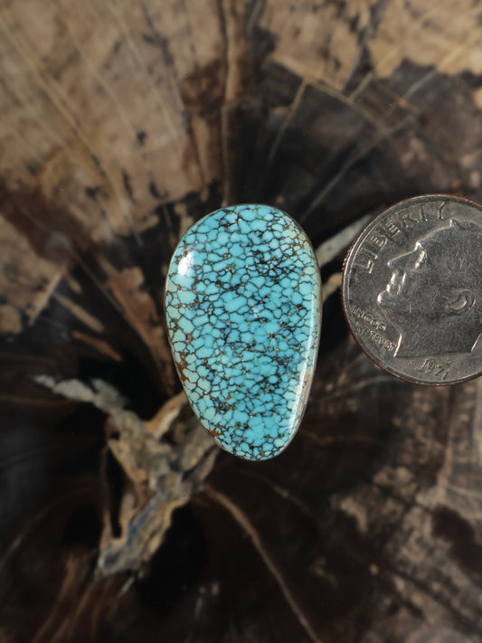 Number 8 turquoise oval cabochon with natural web pattern