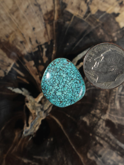 Oval turquoise cabochon with webbed stone matrix texture