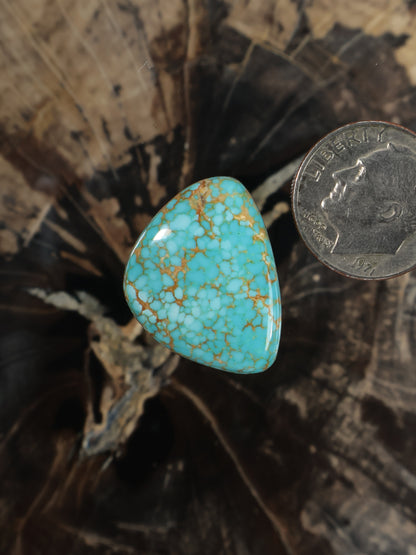 Number 8 turquoise teardrop cabochon with webbed matrix, dome-shaped, B015