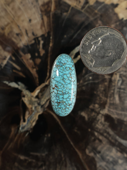 Number 8 turquoise cabochon, oval blue with web matrix, shown with coin for scale