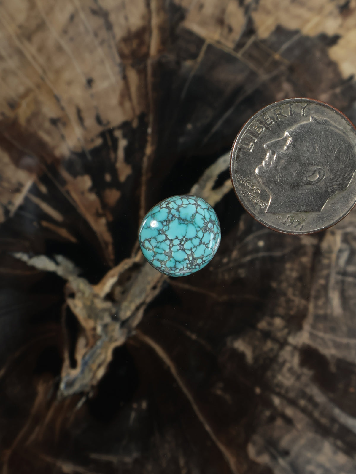 Turquoise cabochon gemstone, round with webbed matrix pattern