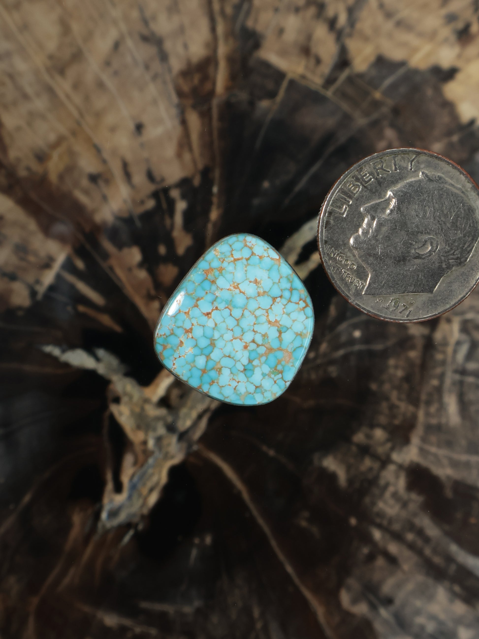 Turquoise oval cabochon gemstone with natural matrix pattern