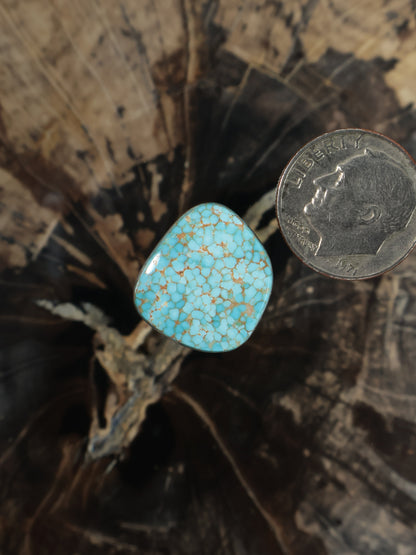 Turquoise oval cabochon gemstone with natural matrix pattern