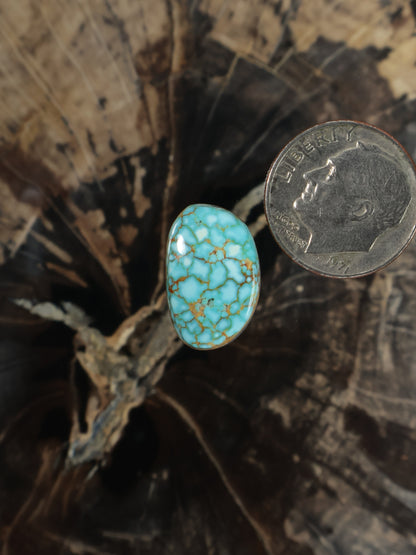 Oval turquoise cabochon gemstone, turquoise web matrix, with coin for size reference