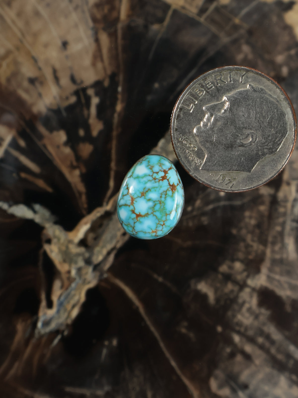 Oval turquoise cabochon gemstone with natural webbed pattern