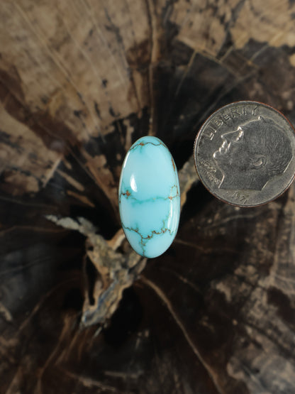 Oval turquoise cabochon gemstone with light blue matrix veining, polished dome