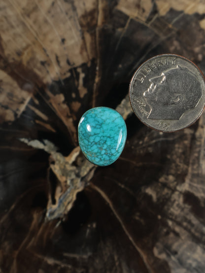 Turquoise oval cabochon gemstone beside a coin for size comparison