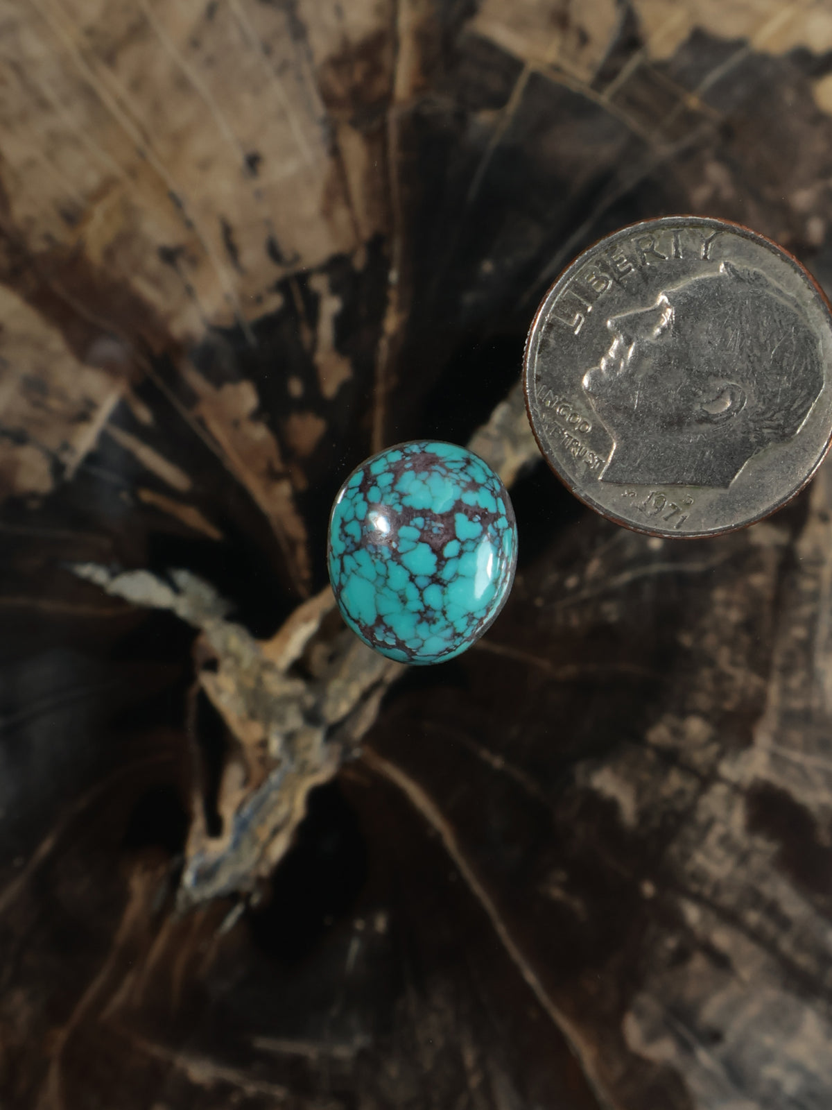 Round turquoise webbed cabochon gemstone with natural matrix, shown beside a coin