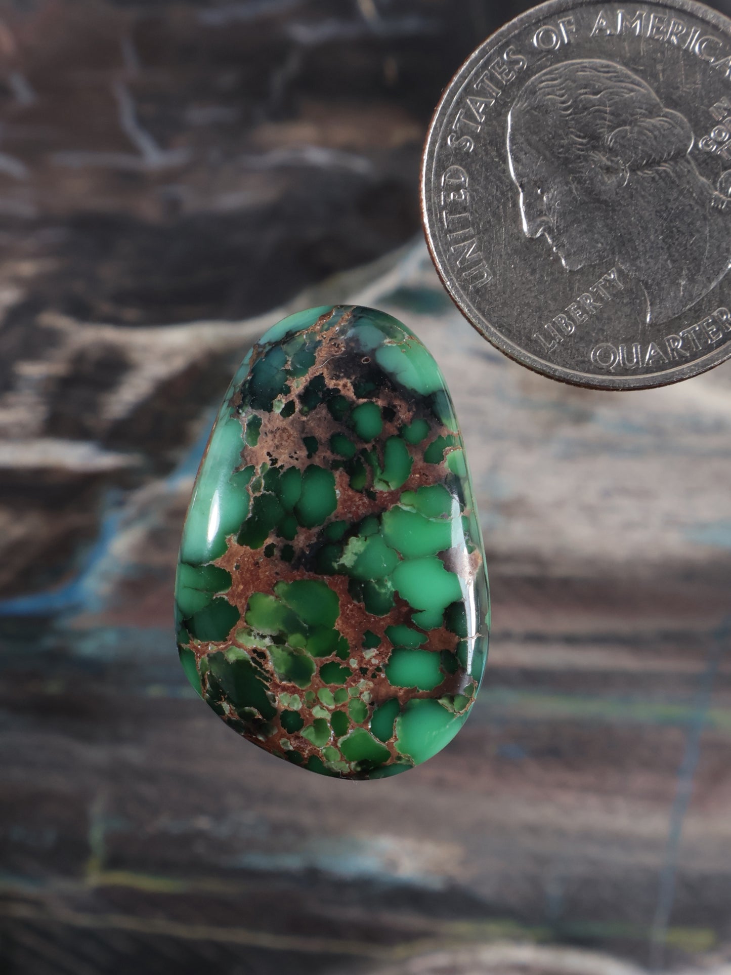 Oval variscite cabochon with green and dark brown matrix pattern