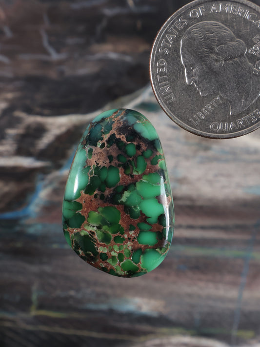 Oval variscite cabochon with green and dark brown matrix pattern