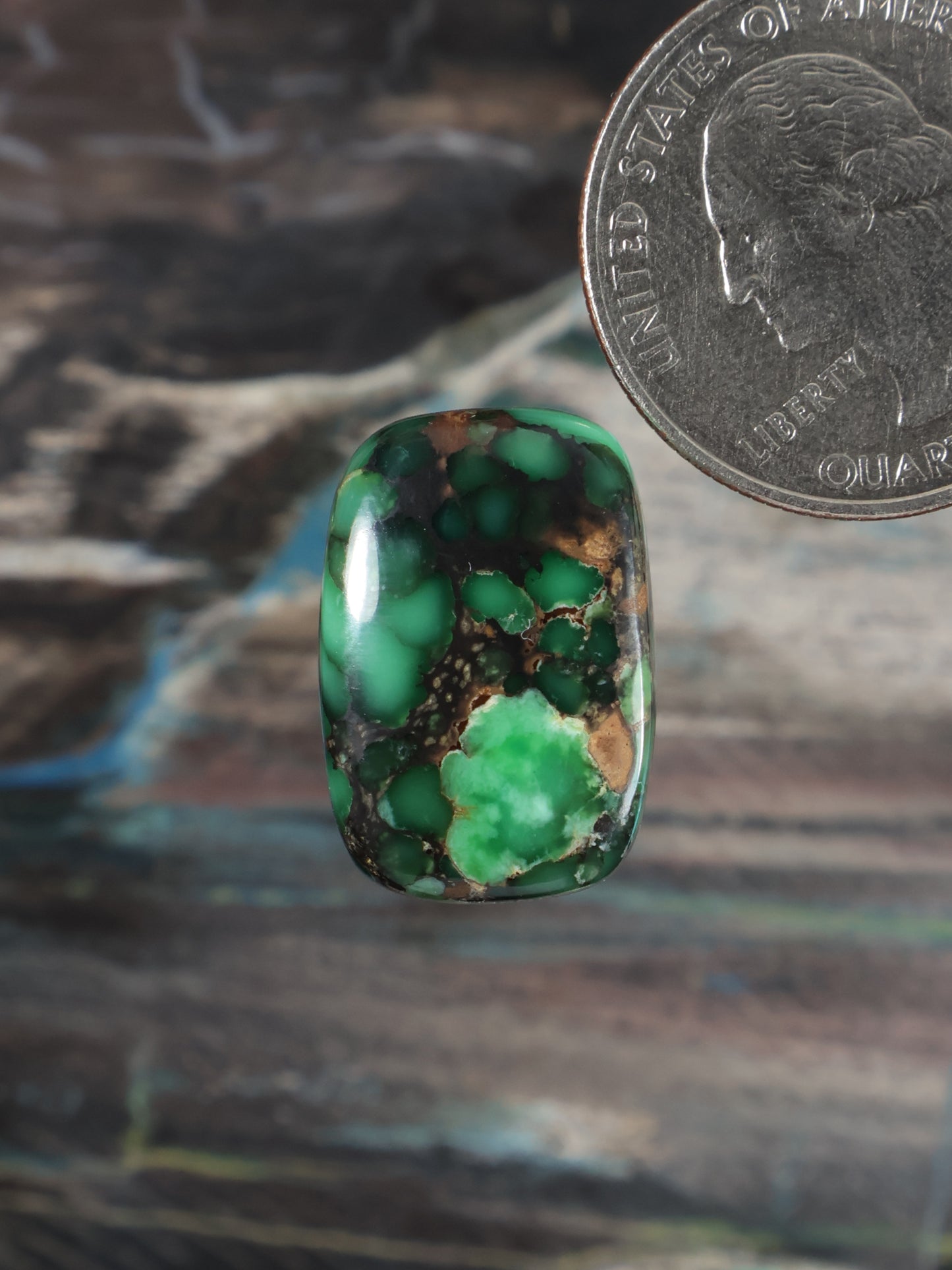 Oval green variscite cabochon with dark matrix and tan webbing