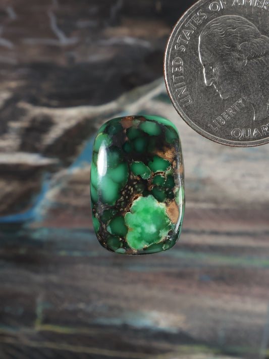 Oval green variscite cabochon with dark matrix and tan webbing