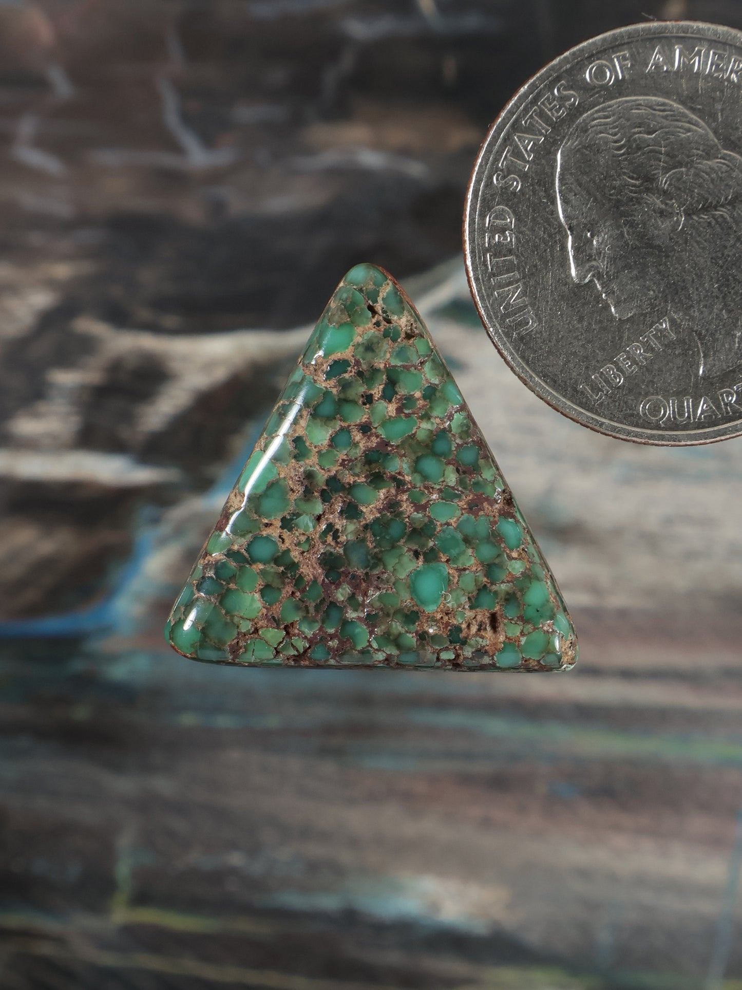 Triangular Damel e variscite cabochon, turquoise-green with tan matrix web.