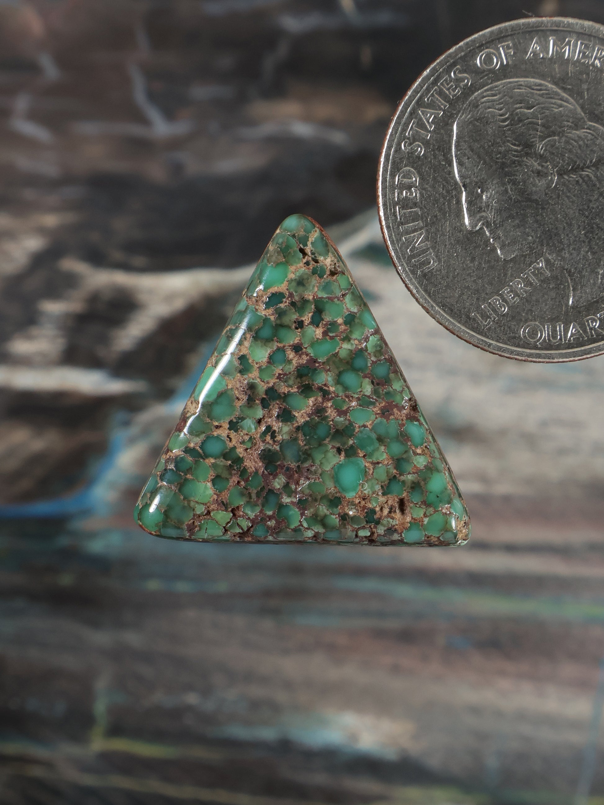 Triangular Damel e variscite cabochon, turquoise-green with tan matrix web.