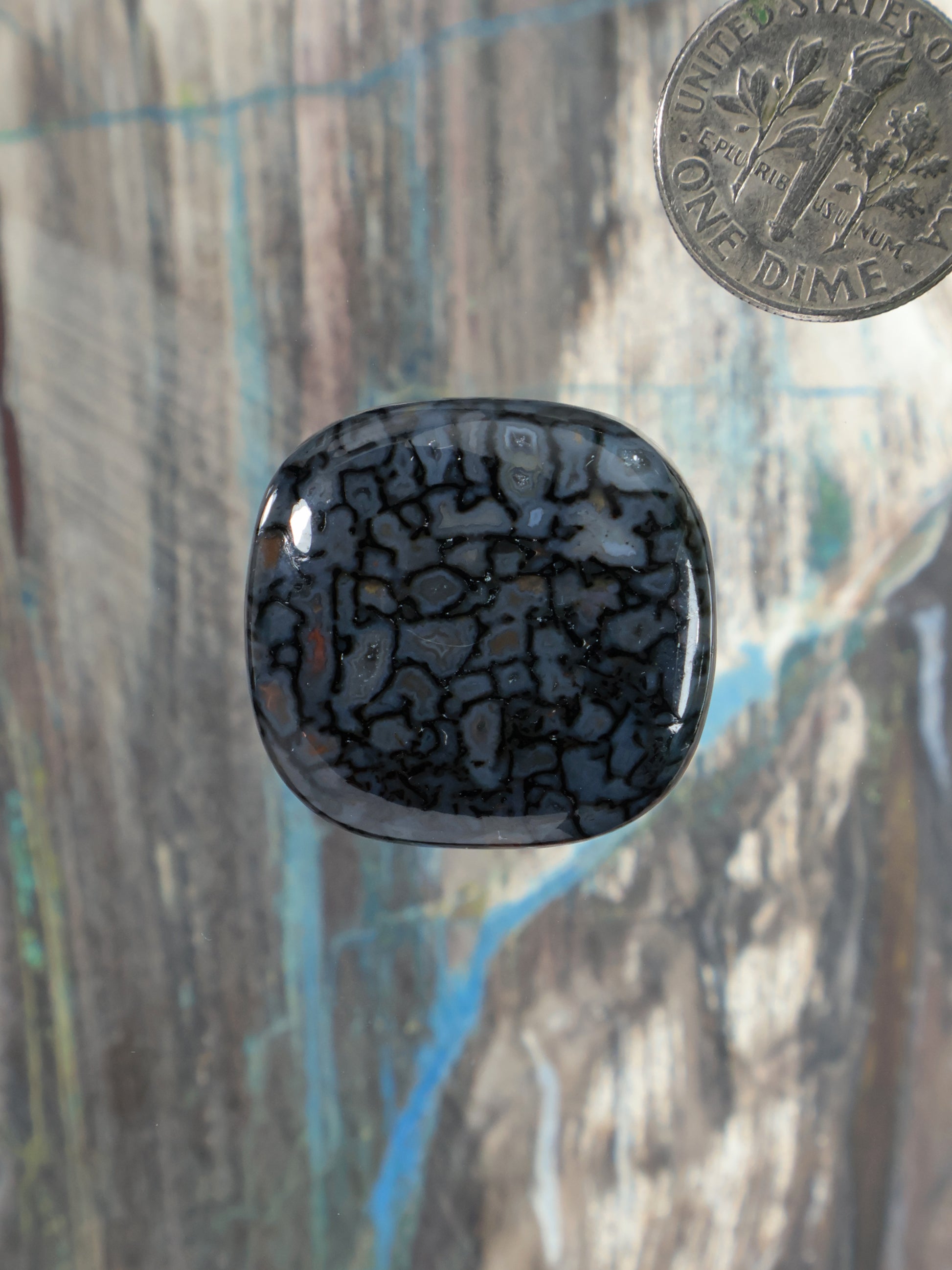 Oval dinosaur gembone cabochon with dark blue-black crackle pattern