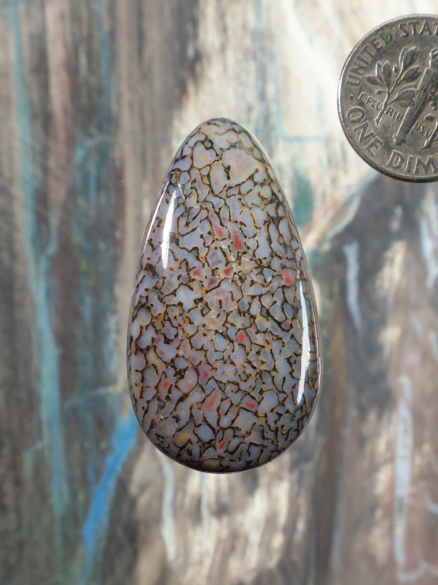 Dinosaur gembone cabochon teardrop bead with mottled brown crackle pattern