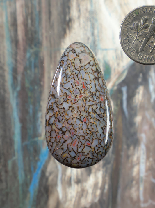 Dinosaur gembone cabochon teardrop bead with mottled brown crackle pattern