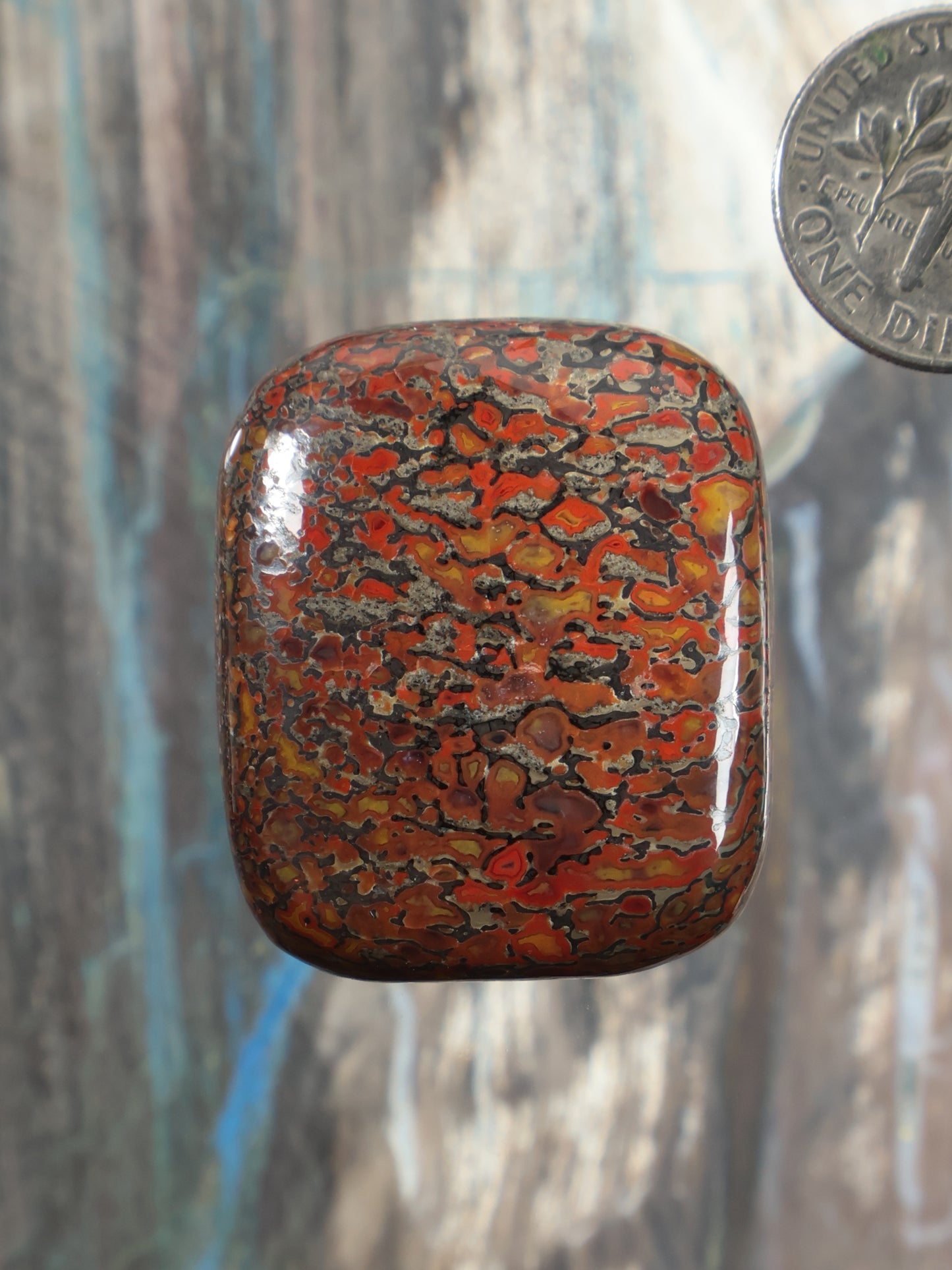 Dinosaur gembone cabochon, square rounded orange-red with dark fossil-like pattern
