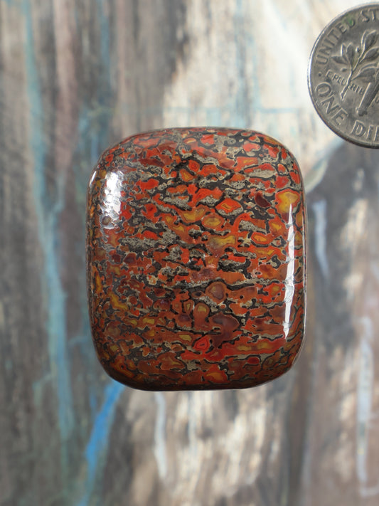 Dinosaur gembone cabochon, square rounded orange-red with dark fossil-like pattern