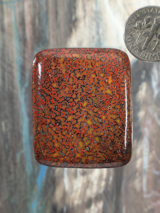 Dinosaur gembone cabochon, rectangular reddish-brown stone with speckled pattern