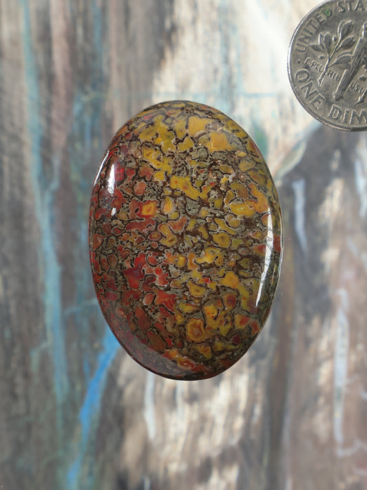 Oval dinosaur gembone cabochon with mottled red, yellow, and dark stone pattern
