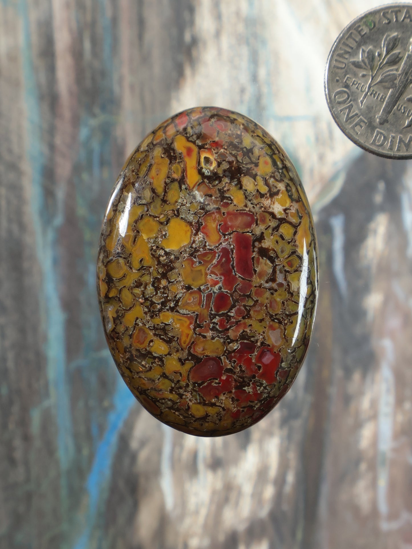 Dinosaur gembone cabochon gemstone, oval with yellow-brown and red mottled pattern