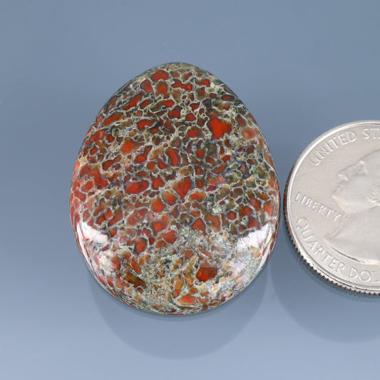 Dinosaur gembone cabochon, oval mosaic pattern in red, green, and silver