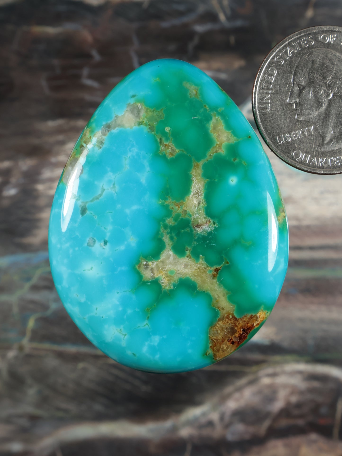 Turquoise oval cabochon with natural brown matrix veining