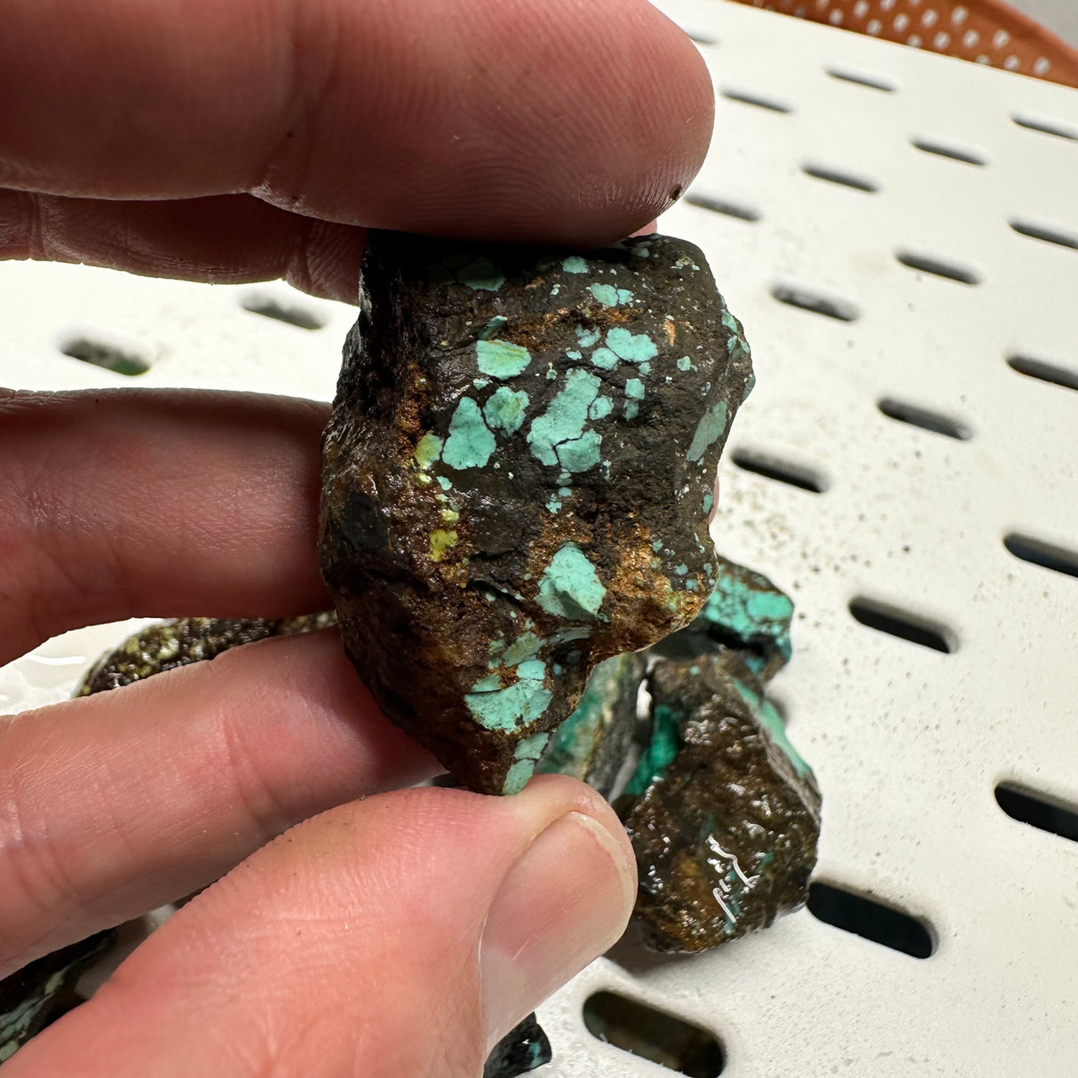 Natural Hubei Turquoise Rough 175g Lot