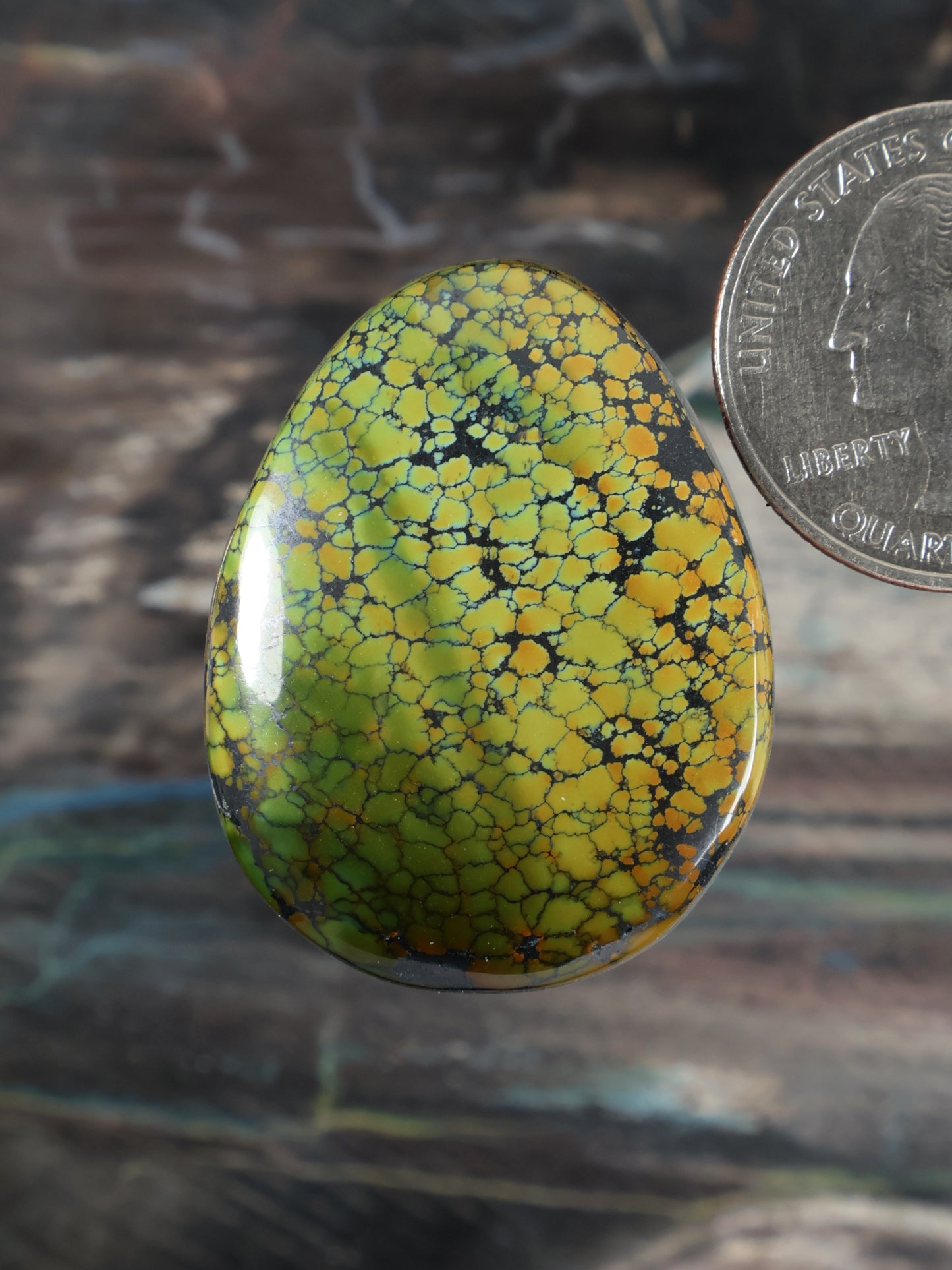 Turquoise dragon-skin cabochon, oval with crackle pattern and polished edge