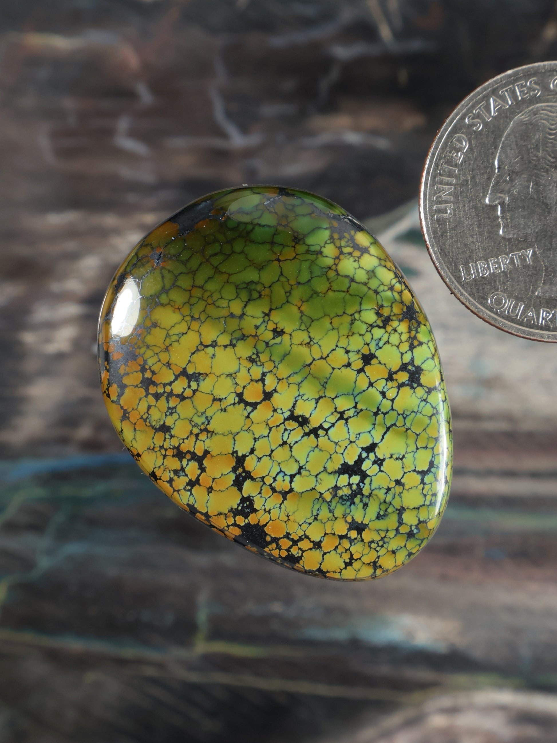 Turquoise dragon-skin cabochon, side view oval with yellow-green crackle and shine