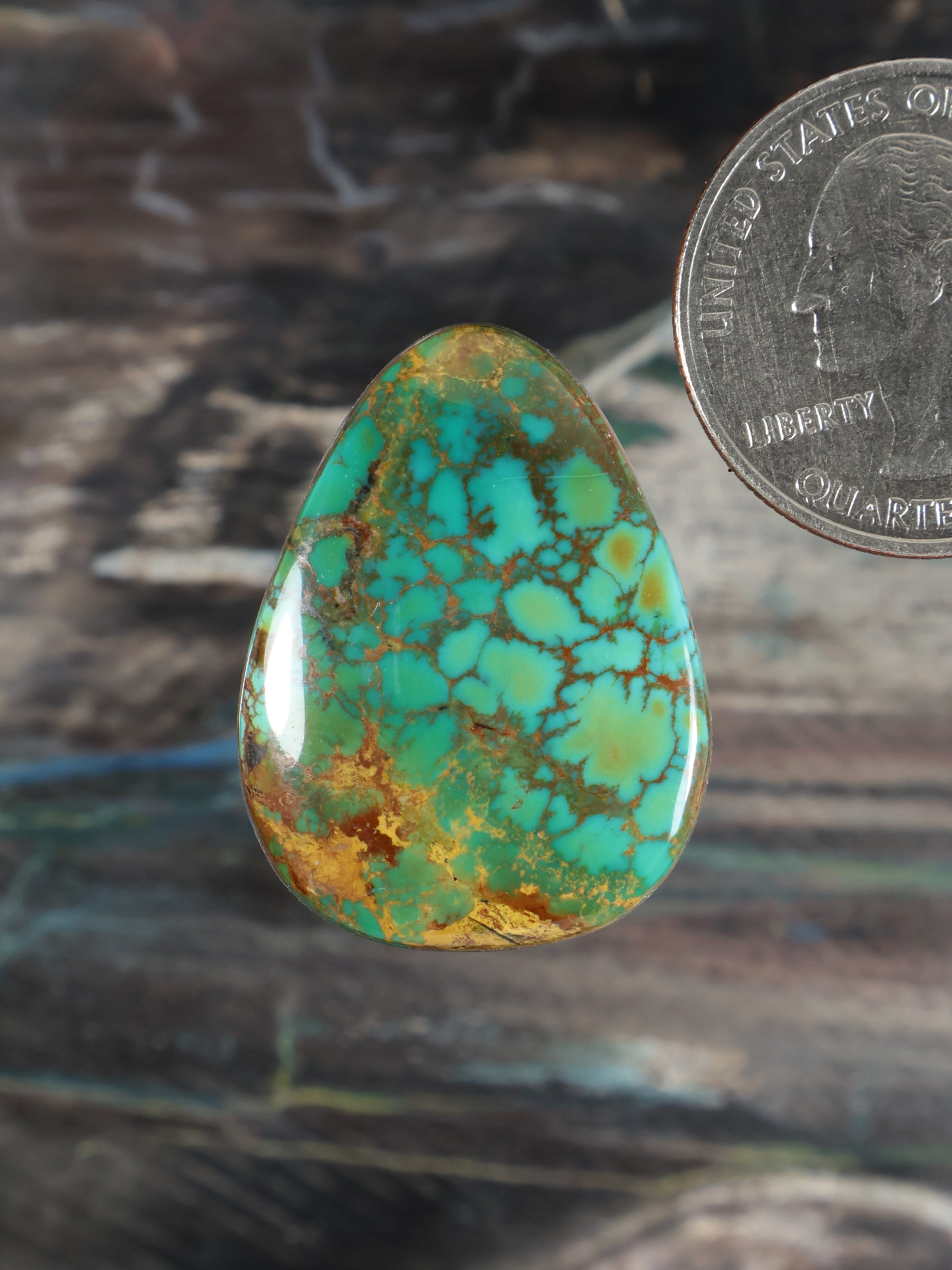 Teardrop turquoise cabochon with natural brown matrix veining, polished dome.